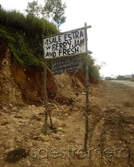 247853_1966323072516_1076076528_32240434_6768637_n