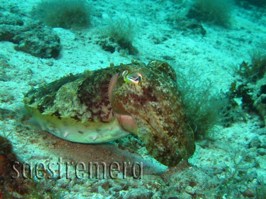 398787_3292784553224_1859343542_n