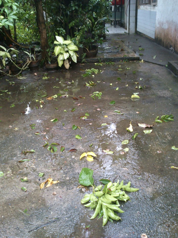 391961_4354054204302_947429521_n