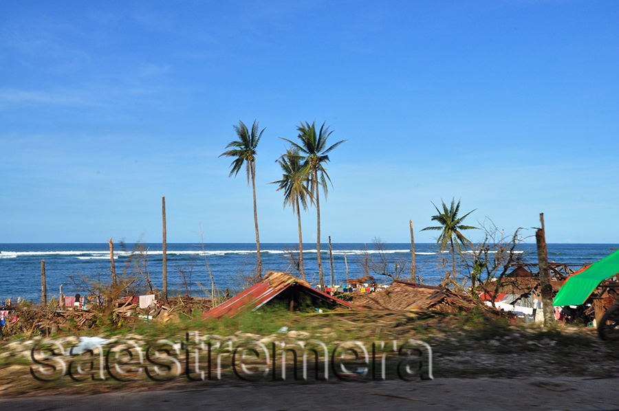 DSC_1105a