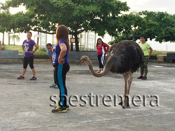 And even close and open her mouth like taunting her choice for the day.