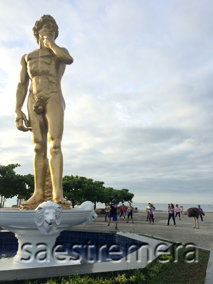 The ostriches are now as ubiquitous as the giant replica of David.