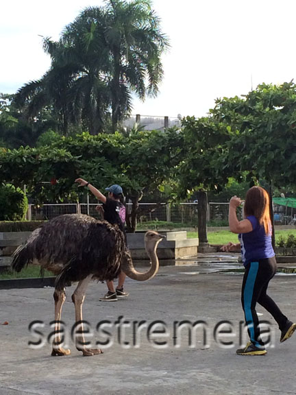 They strike funny poses with the dancing women.