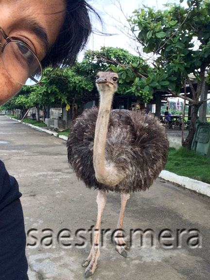 She even greeted me on my birthday.