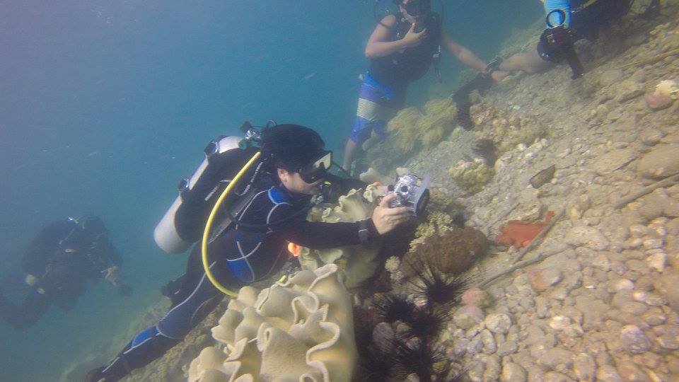 20597074_10155822663834734_7314270331020558878_n