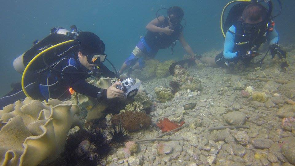 20638029_10155822664224734_2264119941751002686_n