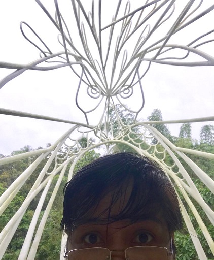 51431072_619957368438169_3251154792688386048_n